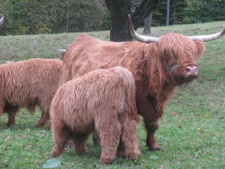 2010-11 Tübingen Corentin 016.JPG